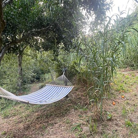 Nascente, Place In Nature Next To A Waterfall Loureiro  Exteriör bild