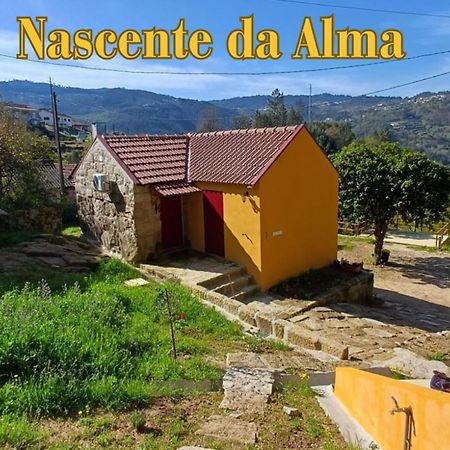 Nascente, Place In Nature Next To A Waterfall Loureiro  Exteriör bild